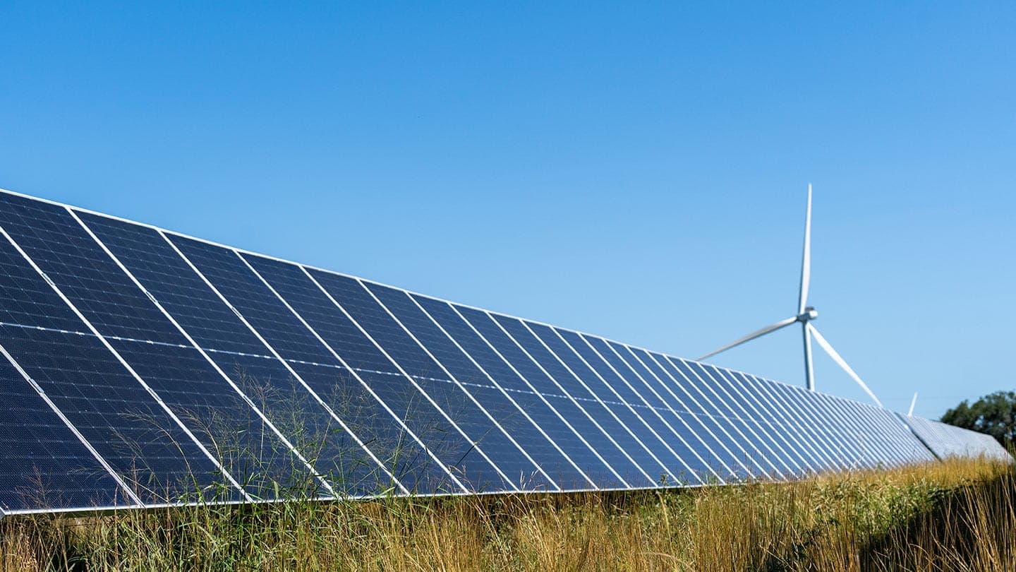 Solar panel field
